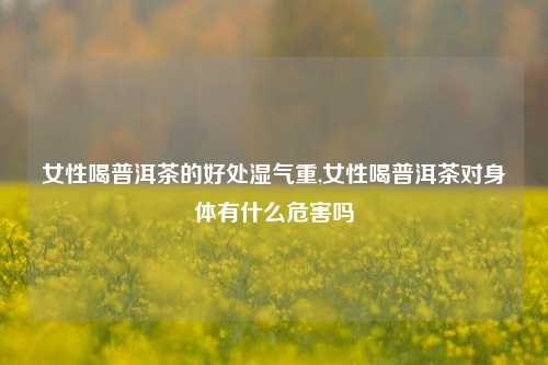 女性喝普洱茶的好处湿气重,女性喝普洱茶对身体有什么危害吗