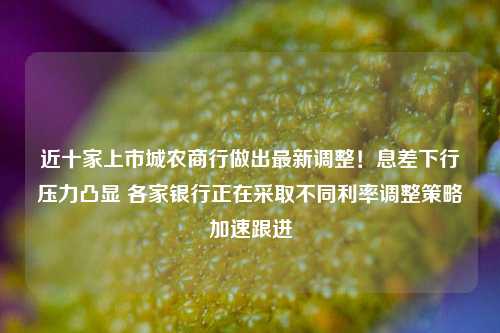 近十家上市城农商行做出最新调整！息差下行压力凸显 各家银行正在采取不同利率调整策略加速跟进