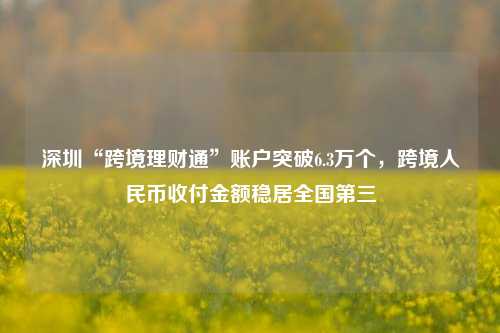 深圳“跨境理财通”账户突破6.3万个，跨境人民币收付金额稳居全国第三