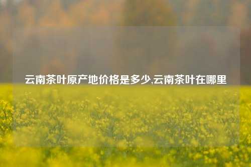 云南茶叶原产地价格是多少,云南茶叶在哪里