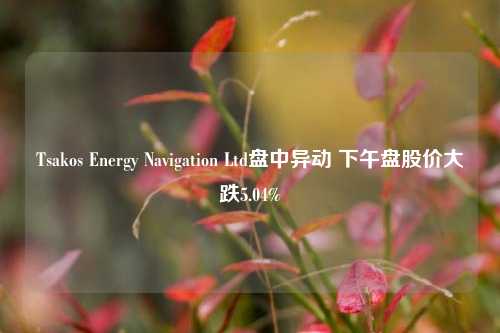 Tsakos Energy Navigation Ltd盘中异动 下午盘股价大跌5.04%