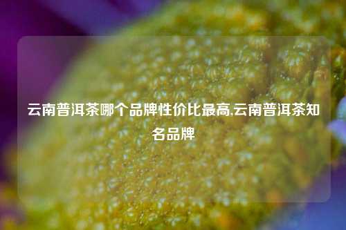 云南普洱茶哪个品牌性价比最高,云南普洱茶知名品牌