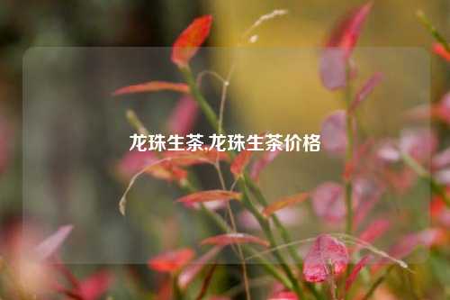 龙珠生茶,龙珠生茶价格