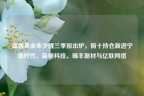 富国基金朱少醒三季报出炉，前十持仓新进宁德时代、蓝晓科技、瑞丰新材与亿联网络