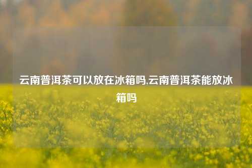 云南普洱茶可以放在冰箱吗,云南普洱茶能放冰箱吗