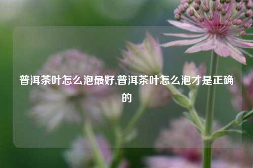 普洱茶叶怎么泡最好,普洱茶叶怎么泡才是正确的