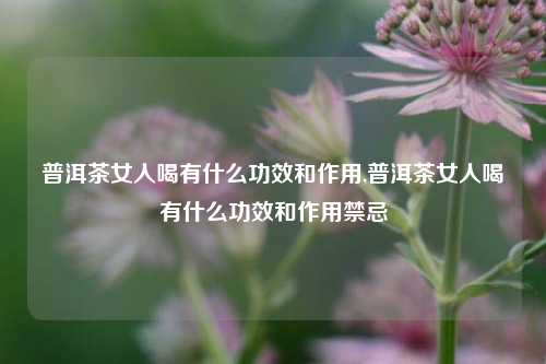 普洱茶女人喝有什么功效和作用,普洱茶女人喝有什么功效和作用禁忌