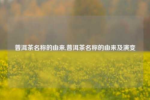 普洱茶名称的由来,普洱茶名称的由来及演变