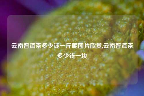 云南普洱茶多少钱一斤呢图片欣赏,云南普洱茶多少钱一块