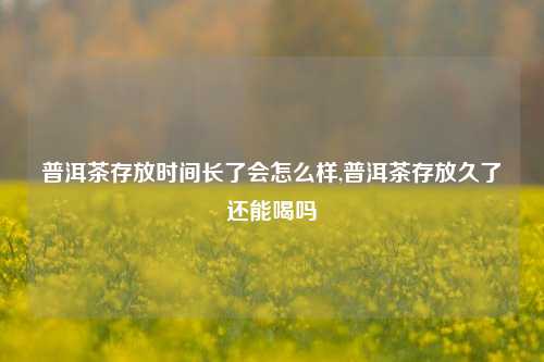 普洱茶存放时间长了会怎么样,普洱茶存放久了还能喝吗