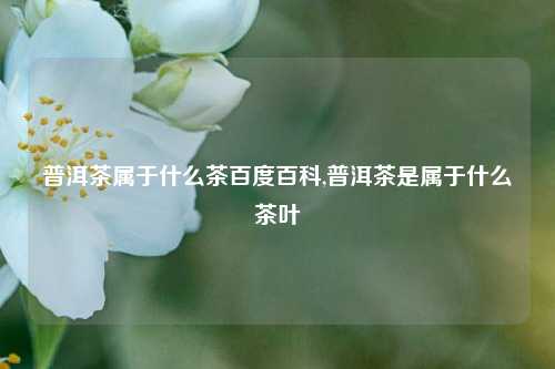 普洱茶属于什么茶百度百科,普洱茶是属于什么茶叶