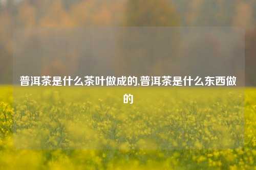 普洱茶是什么茶叶做成的,普洱茶是什么东西做的