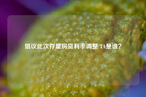 倡议此次存量房贷利率调整 TA是谁？