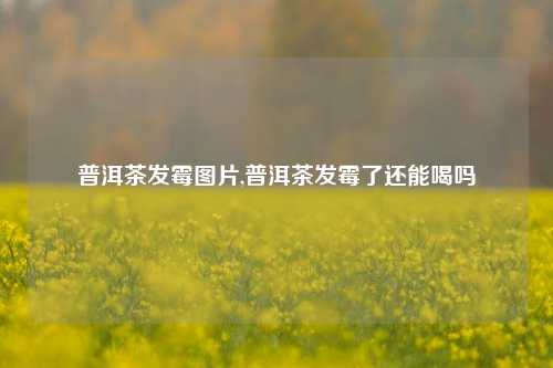 普洱茶发霉图片,普洱茶发霉了还能喝吗