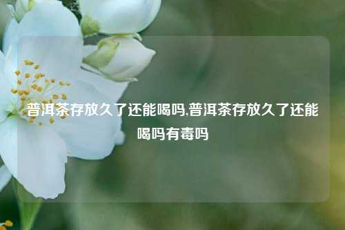 普洱茶存放久了还能喝吗,普洱茶存放久了还能喝吗有毒吗