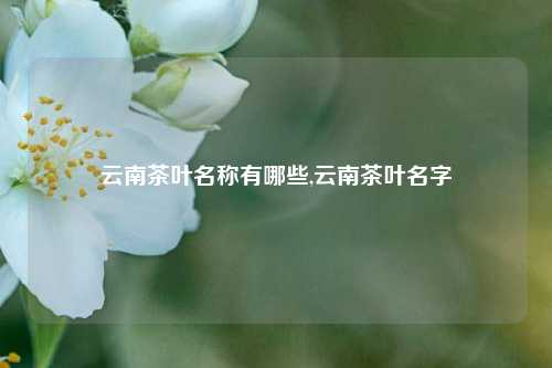 云南茶叶名称有哪些,云南茶叶名字