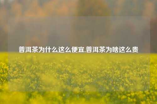 普洱茶为什么这么便宜,普洱茶为啥这么贵