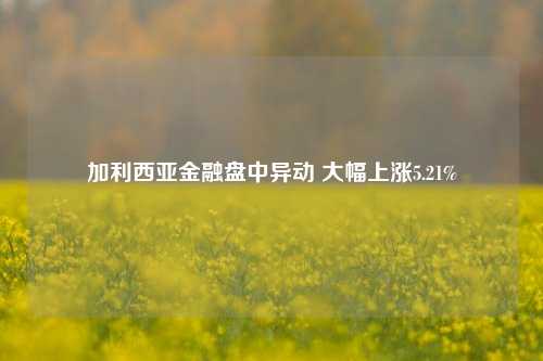 加利西亚金融盘中异动 大幅上涨5.21%