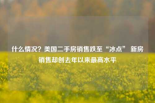 什么情况？美国二手房销售跌至“冰点” 新房销售却创去年以来最高水平