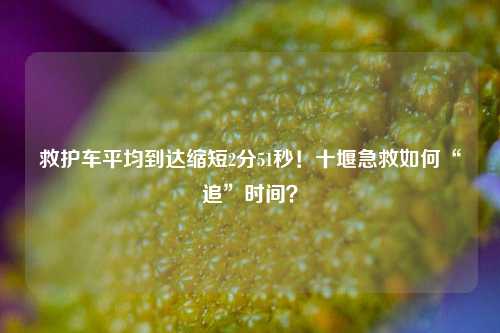 救护车平均到达缩短2分51秒！十堰急救如何“追”时间？