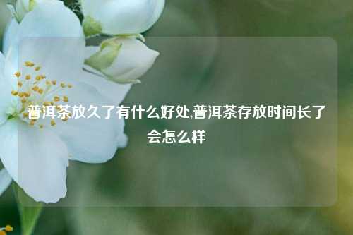 普洱茶放久了有什么好处,普洱茶存放时间长了会怎么样