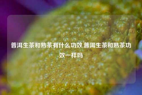 普洱生茶和熟茶有什么功效,普洱生茶和熟茶功效一样吗