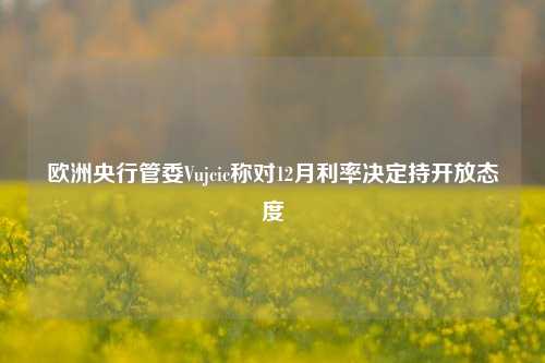 欧洲央行管委Vujcic称对12月利率决定持开放态度