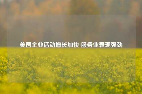 美国企业活动增长加快 服务业表现强劲