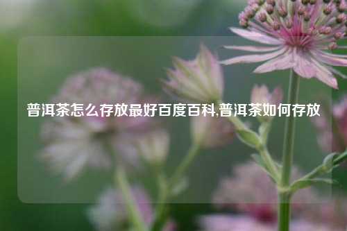 普洱茶怎么存放最好百度百科,普洱茶如何存放