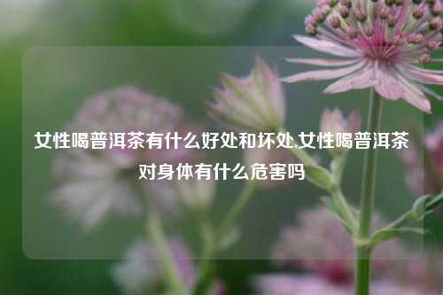 女性喝普洱茶有什么好处和坏处,女性喝普洱茶对身体有什么危害吗