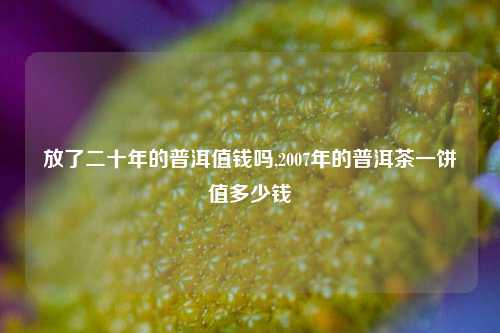 放了二十年的普洱值钱吗,2007年的普洱茶一饼值多少钱