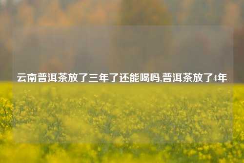 云南普洱茶放了三年了还能喝吗,普洱茶放了4年