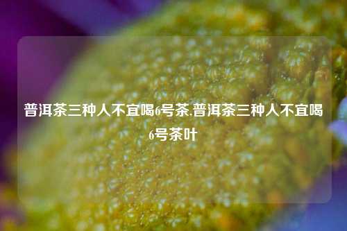 普洱茶三种人不宜喝6号茶,普洱茶三种人不宜喝6号茶叶