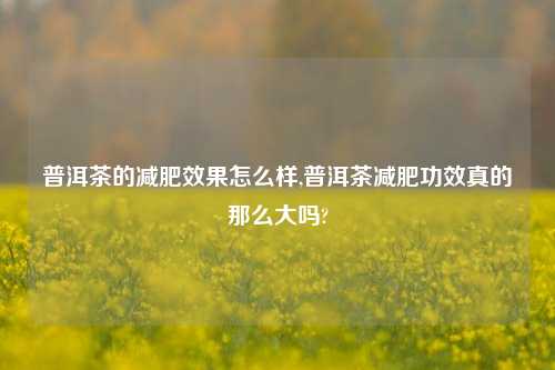 普洱茶的减肥效果怎么样,普洱茶减肥功效真的那么大吗?