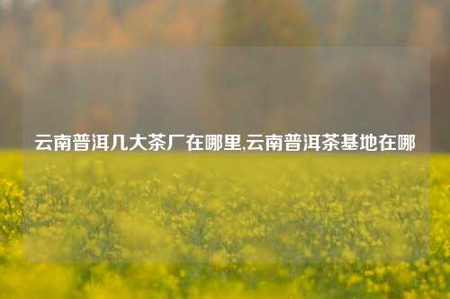 云南普洱几大茶厂在哪里,云南普洱茶基地在哪