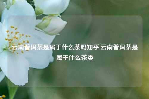 云南普洱茶是属于什么茶吗知乎,云南普洱茶是属于什么茶类