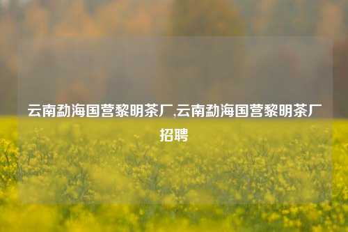 云南勐海国营黎明茶厂,云南勐海国营黎明茶厂招聘