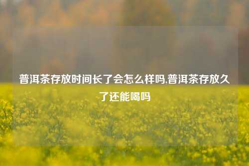 普洱茶存放时间长了会怎么样吗,普洱茶存放久了还能喝吗