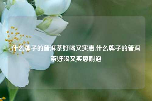 什么牌子的普洱茶好喝又实惠,什么牌子的普洱茶好喝又实惠耐泡