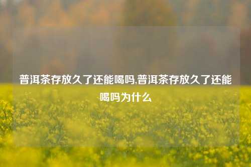 普洱茶存放久了还能喝吗,普洱茶存放久了还能喝吗为什么