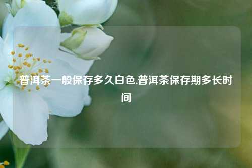 普洱茶一般保存多久白色,普洱茶保存期多长时间