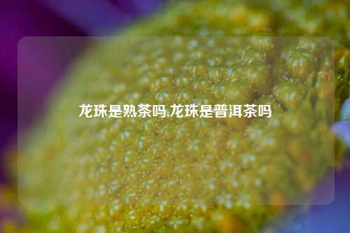 龙珠是熟茶吗,龙珠是普洱茶吗