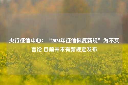 央行征信中心：“2024年征信恢复新规”为不实言论 目前并未有新规定发布