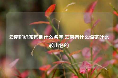 云南的绿茶都叫什么名字,云南有什么绿茶叶比较出名的