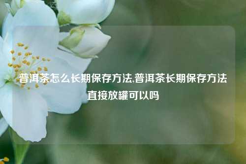 普洱茶怎么长期保存方法,普洱茶长期保存方法直接放罐可以吗