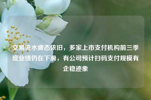 交易流水疲态依旧，多家上市支付机构前三季度业绩仍在下滑，有公司预计扫码支付规模有企稳迹象