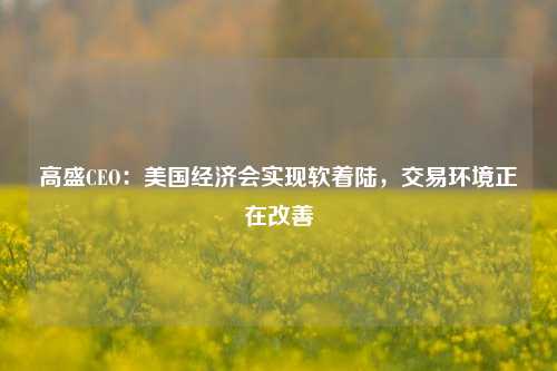 高盛CEO：美国经济会实现软着陆，交易环境正在改善