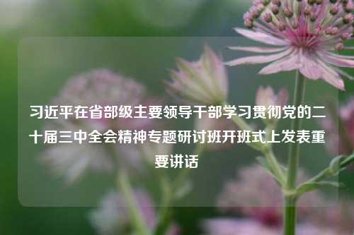 习近平在省部级主要领导干部学习贯彻党的二十届三中全会精神专题研讨班开班式上发表重要讲话