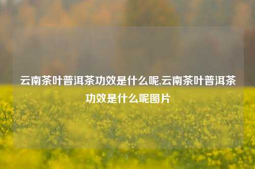 云南茶叶普洱茶功效是什么呢,云南茶叶普洱茶功效是什么呢图片