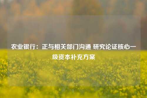 农业银行：正与相关部门沟通 研究论证核心一级资本补充方案